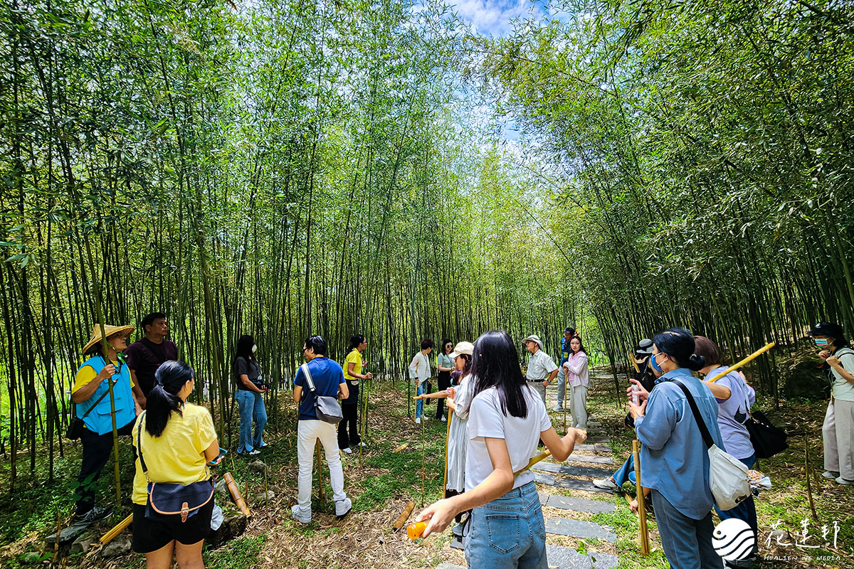 花蓮富里-羅山村竹林步道-竹療癒體驗